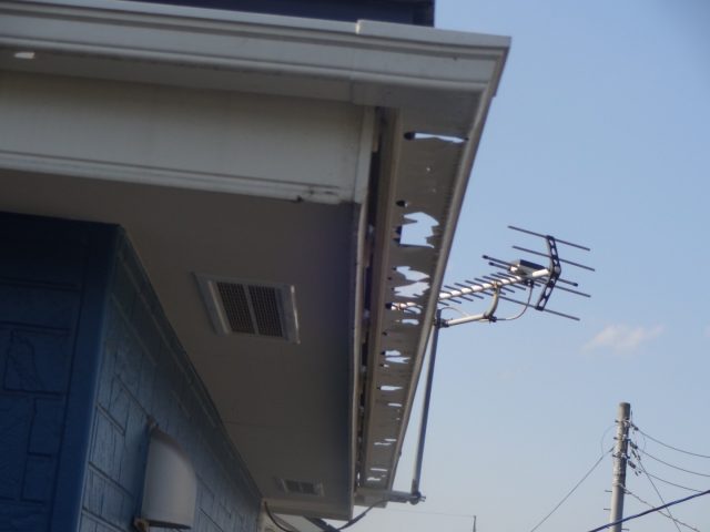 高崎市 雨樋 雹被害 穴あき