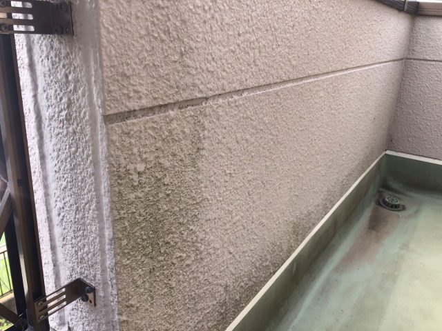 前橋市 屋根外壁塗装工事 外壁コケの付着 お客様の声 ミヤケン
