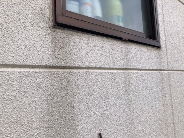 フッ素プラン