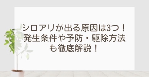 シロアリが出る原因は3つ!発生条件や予防・駆除方法も徹底解説! | 外壁塗装