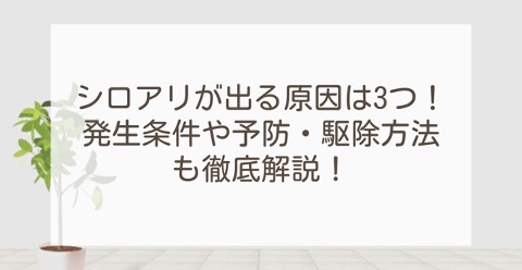 シロアリが出る原因は３つ！発生条件や予防・駆除方法も徹底解説！ | 外壁塗装