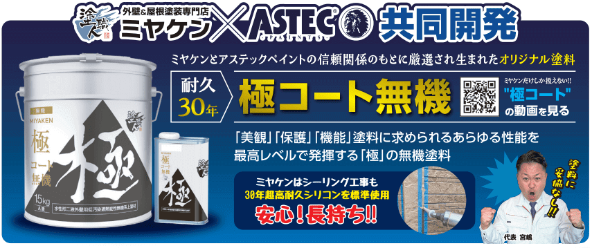 アステックペイント　極無機 (1)
