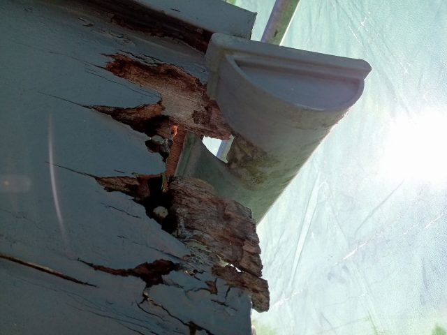 邑楽郡 屋根塗装工事 破風板・雨樋劣化症状 お客様の声 ミヤケン