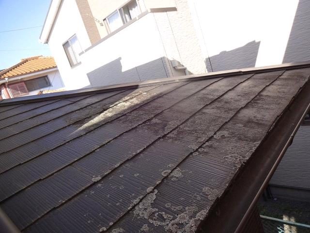 伊勢崎市 屋根 コケ ミヤケン