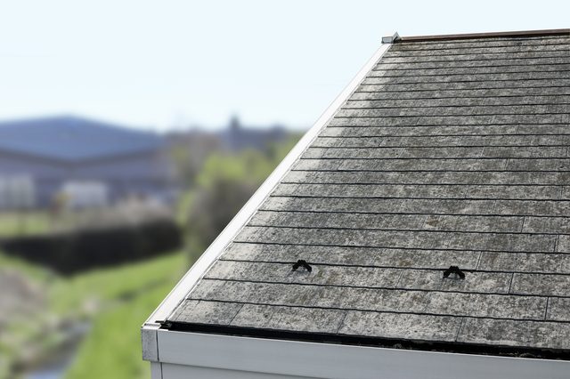 屋根材別の耐用年数と塗装時期の目安
