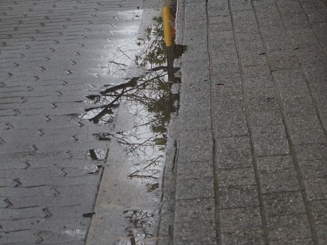 雨上がりの場合