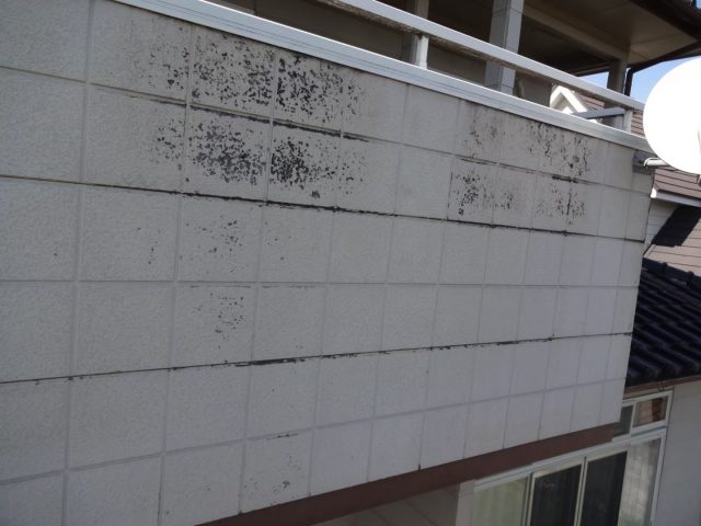 高崎市 外壁 汚れ ミヤケン