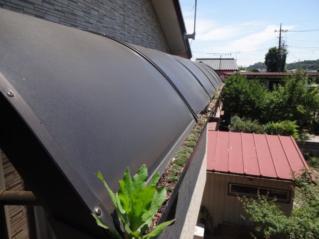 安中市 雨樋 雑草 ミヤケン
