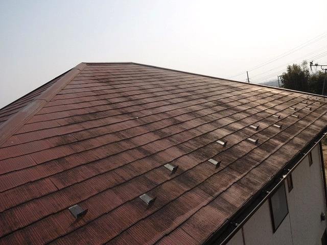 前橋市 屋根外壁塗装工事 屋根コケの付着 お客様の声 ミヤケン