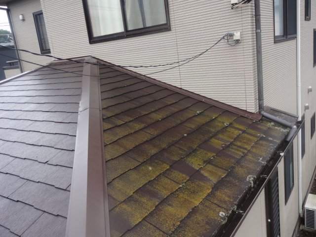 太田市 屋根 コケ ミヤケン