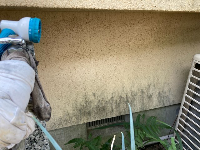前橋市 外壁 カビ ミヤケン