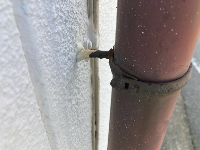 前橋市 雨樋 色あせ ミヤケン
