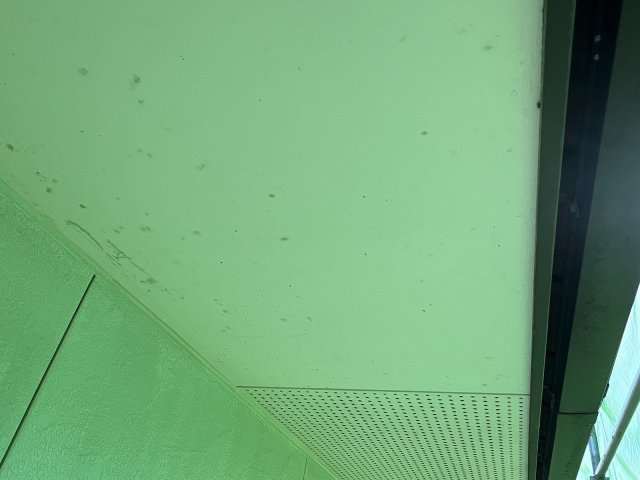 館林市 軒天 汚れ ミヤケン