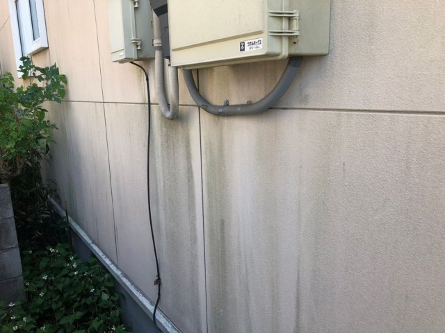 高崎市 外壁 コケ ミヤケン