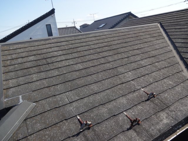 高崎市 屋根 コケ ミヤケン