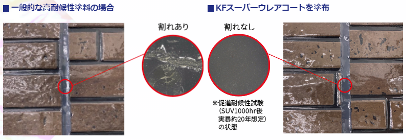 暴露試験 30年耐久比較　防水膜