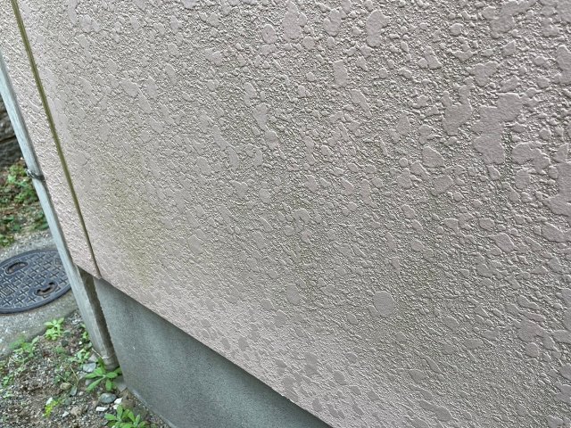 前橋市 外壁 コケ ミヤケン