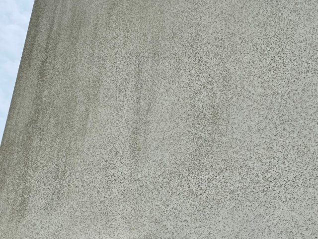 邑楽郡邑楽町 外壁 コケ ミヤケン