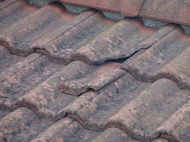 高崎市 瓦 欠け ミヤケン