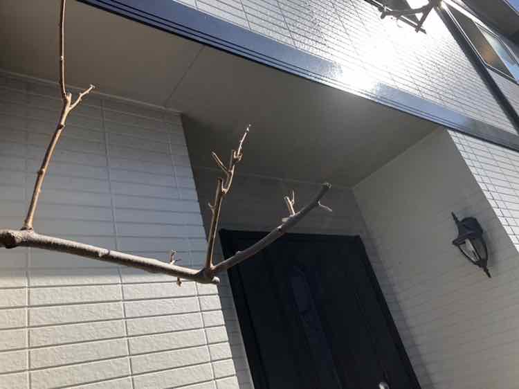 高崎市 軒裏天井 ミヤケン