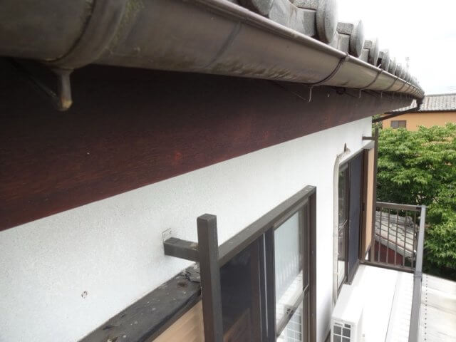 雨樋 ミヤケン