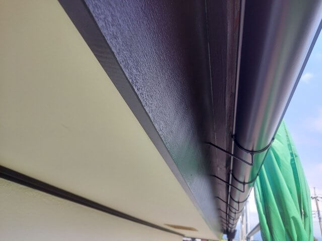 雨樋 ミヤケン