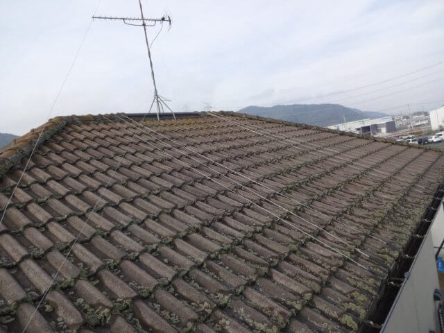 太田市 屋根外壁塗装 屋根 コケ ミヤケン