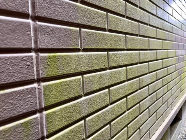 外壁 コケ ミヤケン