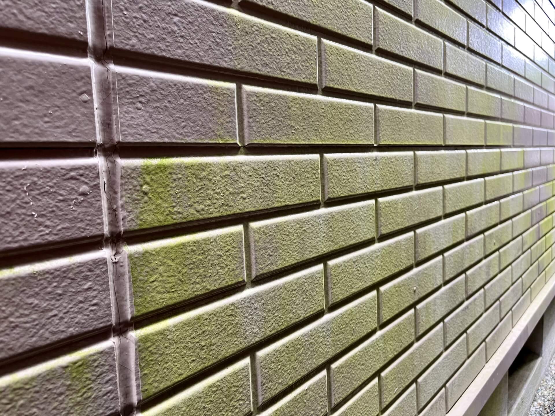 外壁 コケ ミヤケン