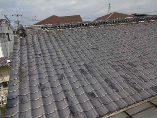 高崎市下佐野町の瓦屋根を塗装3年後に点検するミヤケンの漆喰と瓦のズレ確認の様子