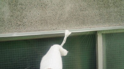 0524 01 窓枠 上塗り中 0cf8aa860af5e505e774e8417f3d5def