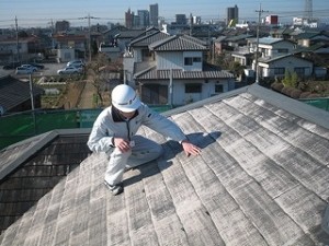 20100129094557 201001290945571