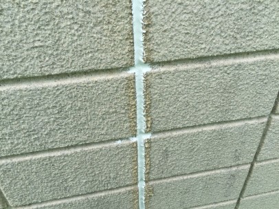 20160315_9051 20160315_9051