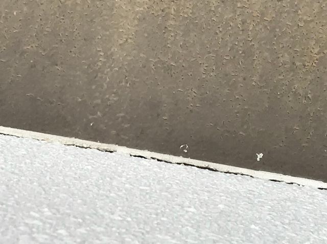 コーキング コーキング