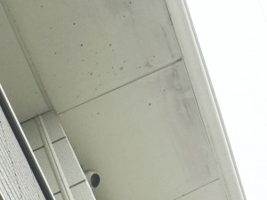 0306 03 軒天 施工前 22ebdb10837c9a5d435e12327da73ff6