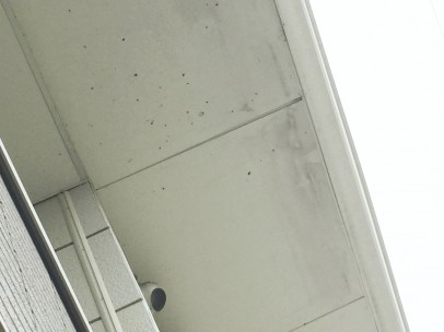 0306 03 軒天 施工前 22ebdb10837c9a5d435e12327da73ff6