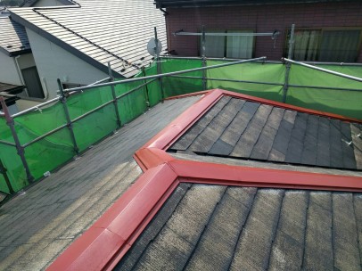 3144 3144