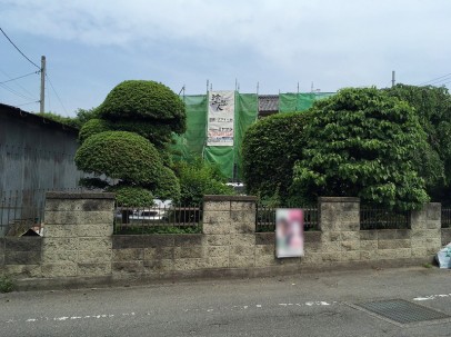 0529 01 足場完成 7d0a88c8c5381509b69f19b610b69e3a