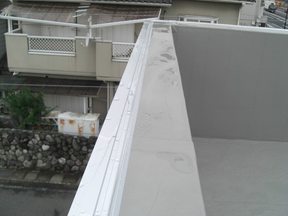 CIMG0790 CIMG0790