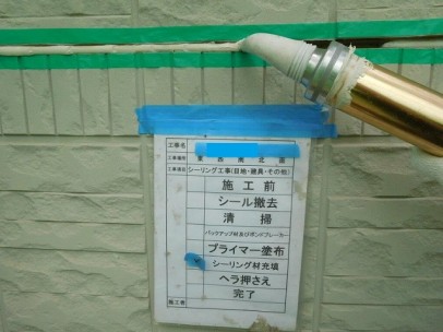DSCN0073 DSCN0073