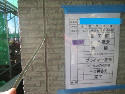 IMG_0011 IMG_0011