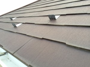 IMG_0381 IMG_0381