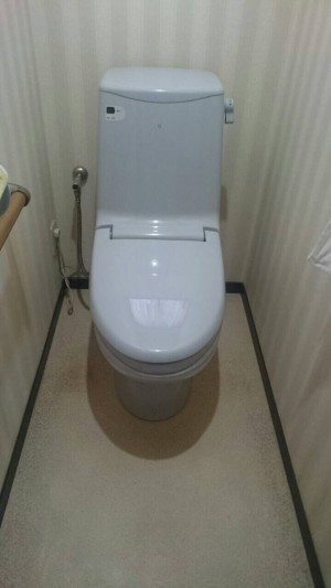 IMG_0484 IMG_0484