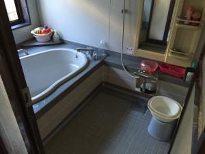 IMG_0521 IMG_0521