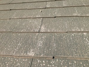 IMG_0837 IMG_0837