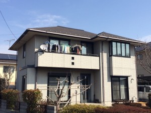 IMG_1039 IMG_1039