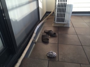 IMG_1249 IMG_12491