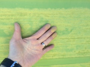 IMG_1300 IMG_13001