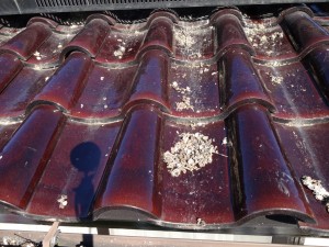IMG_1498 IMG_1498