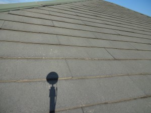IMG_1646 IMG_1646